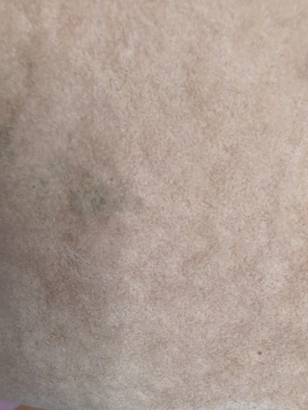 SONOMA Tan Suede Teddy Jacket with Cream Faux Shearling - Picture 8 of 10
